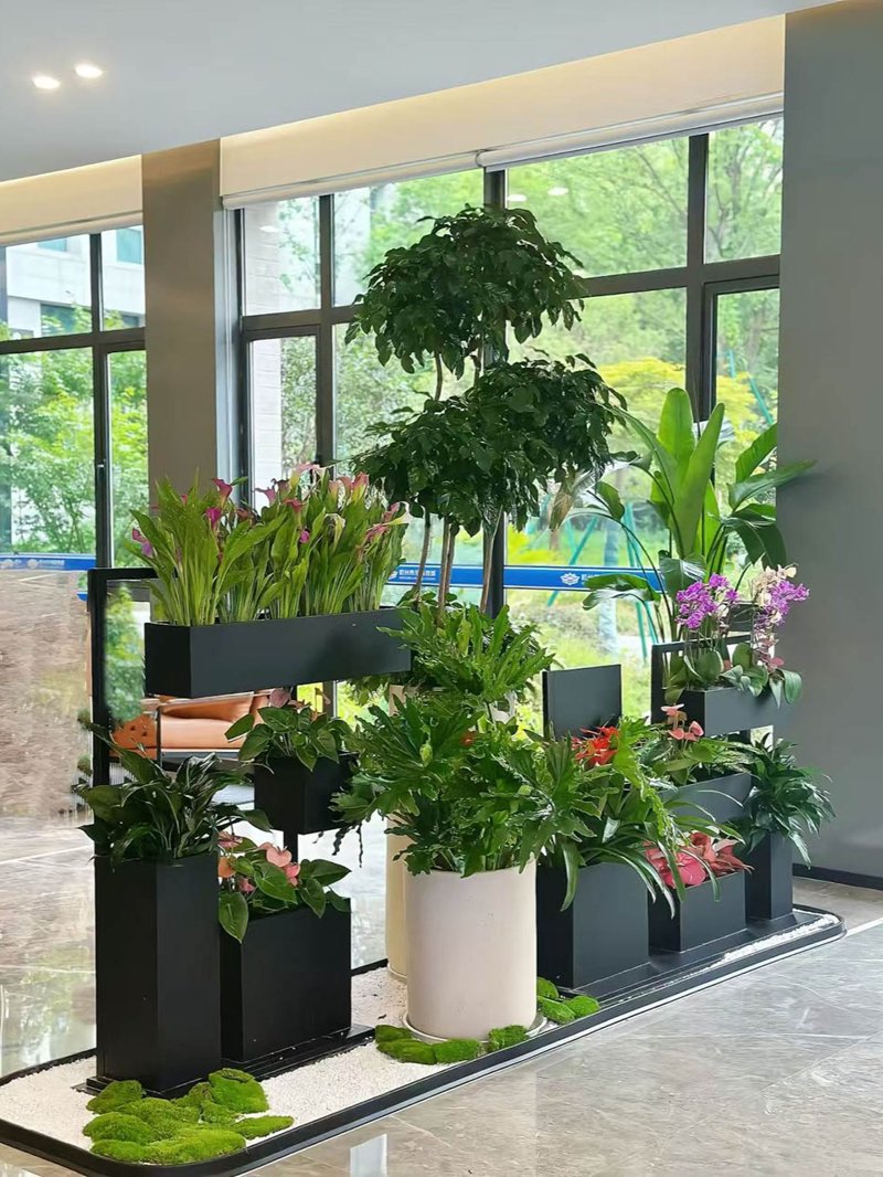 如何高效管理您的绿色植物？