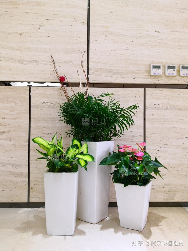 深度剖析：打造梦幻小院的五大关键点